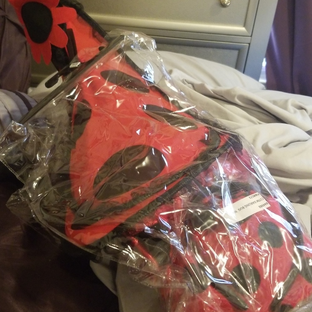 Plus Size Party City Lady Bug Costume